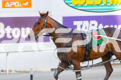 2025_PACEPIX_GP02122025_Race4_CaptainConfetti_WIN_WEB-10