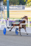 2025_PACEPIX_GP02122025_Race4_CaptainConfetti_WIN_WEB-2