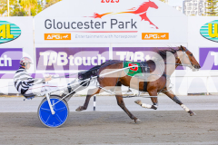2025_PACEPIX_GP02122025_Race4_CaptainConfetti_WIN_WEB-5