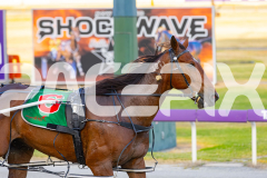 2025_PACEPIX_GP02122025_Race4_CaptainConfetti_WIN_WEB-7