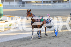 2025_PACEPIX_GP02122025_Race4_CaptainConfetti_WIN_WEB-8