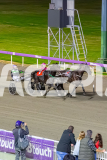 2026_PACEPIX_GP24042026_RACE4_CaptainRavishing_WIN_WEB-14