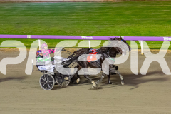 2026_PACEPIX_GP24042026_RACE4_CaptainRavishing_WIN_WEB-16