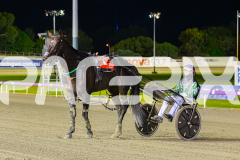 2026_PACEPIX_GP24042026_RACE4_CaptainRavishing_WIN_WEB-24