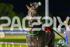 2026_PACEPIX_GP24042026_RACE4_CaptainRavishing_WIN_WEB-25