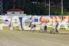 2026_PACEPIX_GP24042026_RACE4_CaptainRavishing_WIN_WEB-3
