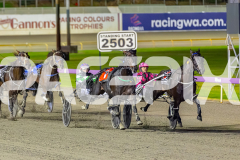 2026_PACEPIX_GP24042026_RACE4_CaptainRavishing_WIN_WEB-6