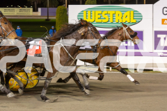 RACE 4 - Chase Me