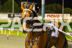 2025_PACEPIX_GP18062025_RACE4_CHASE-ME_WIN_WEB-7