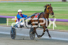 Cherry-On-The-Cake_21-10-2025_WIN_Gloucester-Park_4__08
