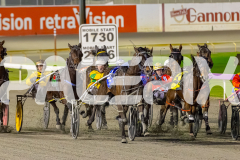 RACE 4 - Chilli Punter