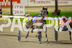 2025_PACEPIX_GP25072025_Race4_ChilliPunter_WIN_WEB-10