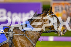 2025_PACEPIX_GP25072025_Race4_ChilliPunter_WIN_WEB-11