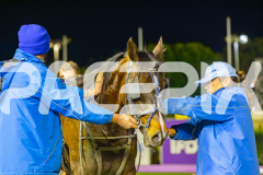 2025_PACEPIX_GP25072025_Race4_ChilliPunter_WIN_WEB-18