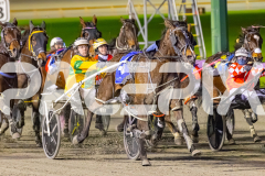 2025_PACEPIX_GP25072025_Race4_ChilliPunter_WIN_WEB-4