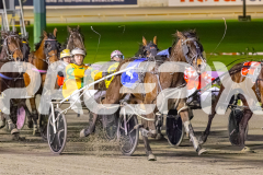 2025_PACEPIX_GP25072025_Race4_ChilliPunter_WIN_WEB-5