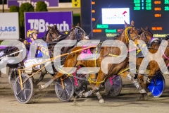 RACE 4 - Chillin