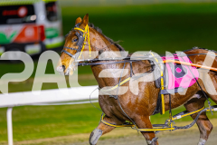 2025_PACEPIX_GP01072025_Race4_Chillin_WIN_WEB-10