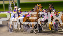 2025_PACEPIX_GP01072025_Race4_Chillin_WIN_WEB-3