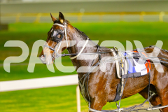 2025_PACEPIX_GP06052025_RACE4_CodenameMarcus_WIN_WEB-20