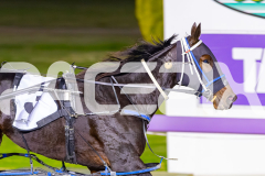 2026_PACEPIX_GP08052026_Race4_CopyCatQueen_WIN_WEB-11