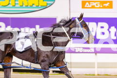 2026_PACEPIX_GP08052026_Race4_CopyCatQueen_WIN_WEB-12