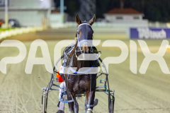 2026_PACEPIX_GP08052026_Race4_CopyCatQueen_WIN_WEB-15