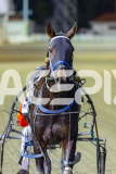 2026_PACEPIX_GP08052026_Race4_CopyCatQueen_WIN_WEB-16