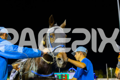 2026_PACEPIX_GP08052026_Race4_CopyCatQueen_WIN_WEB-19