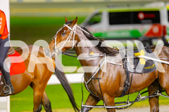 2025_PACEPIX_GP02052025_Race4_CycloneJordy_WIN_WEB-23