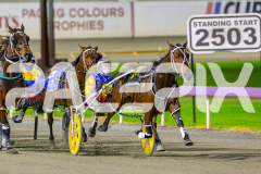 2025_PACEPIX_GP02052025_Race4_CycloneJordy_WIN_WEB-7