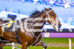 2025_PACEPIX_GP02052025_Race4_CycloneJordy_WIN_WEB-9