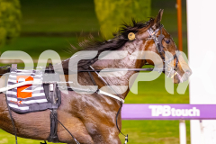 2025_PACEPIX_GP22082025_Race4_DarkEyes_WIN_WEB-12