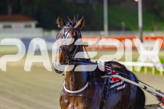 2025_PACEPIX_GP22082025_Race4_DarkEyes_WIN_WEB-15