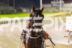 2025_PACEPIX_GP22082025_Race4_DarkEyes_WIN_WEB-21