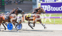 Race 4 - Duke To Be