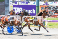Duke-To-Be_05-11-2025_WIN_Gloucester-Park_4__02
