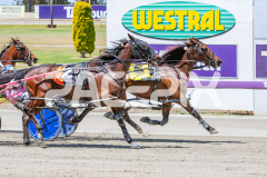 Duke-To-Be_05-11-2025_WIN_Gloucester-Park_4__03