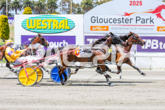 Duke-To-Be_05-11-2025_WIN_Gloucester-Park_4__04