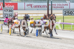 Duke-To-Be_05-11-2025_WIN_Gloucester-Park_4__10