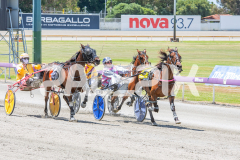 Duke-To-Be_05-11-2025_WIN_Gloucester-Park_4__11