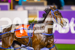 2025_PACEPIX_GP05082025_RACE4_ElMystro_WIN_WEB-15