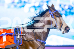 2025_PACEPIX_GP05082025_RACE4_ElMystro_WIN_WEB-16