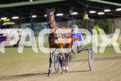 2025_PACEPIX_GP05082025_RACE4_ElMystro_WIN_WEB-2