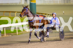 2025_PACEPIX_GP05082025_RACE4_ElMystro_WIN_WEB-25