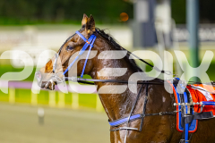2025_PACEPIX_GP05082025_RACE4_ElMystro_WIN_WEB-28