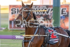 RACE 4 - Elleofareactor