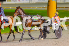 2025_PACEPIX_GP03062025_RACE4_Elwaddell_WIN_WEB-14