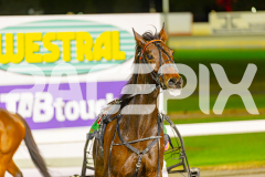 2025_PACEPIX_GP03062025_RACE4_Elwaddell_WIN_WEB-15