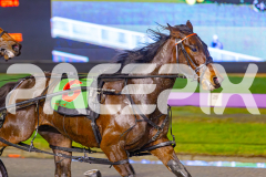 2025_PACEPIX_GP03062025_RACE4_Elwaddell_WIN_WEB-3